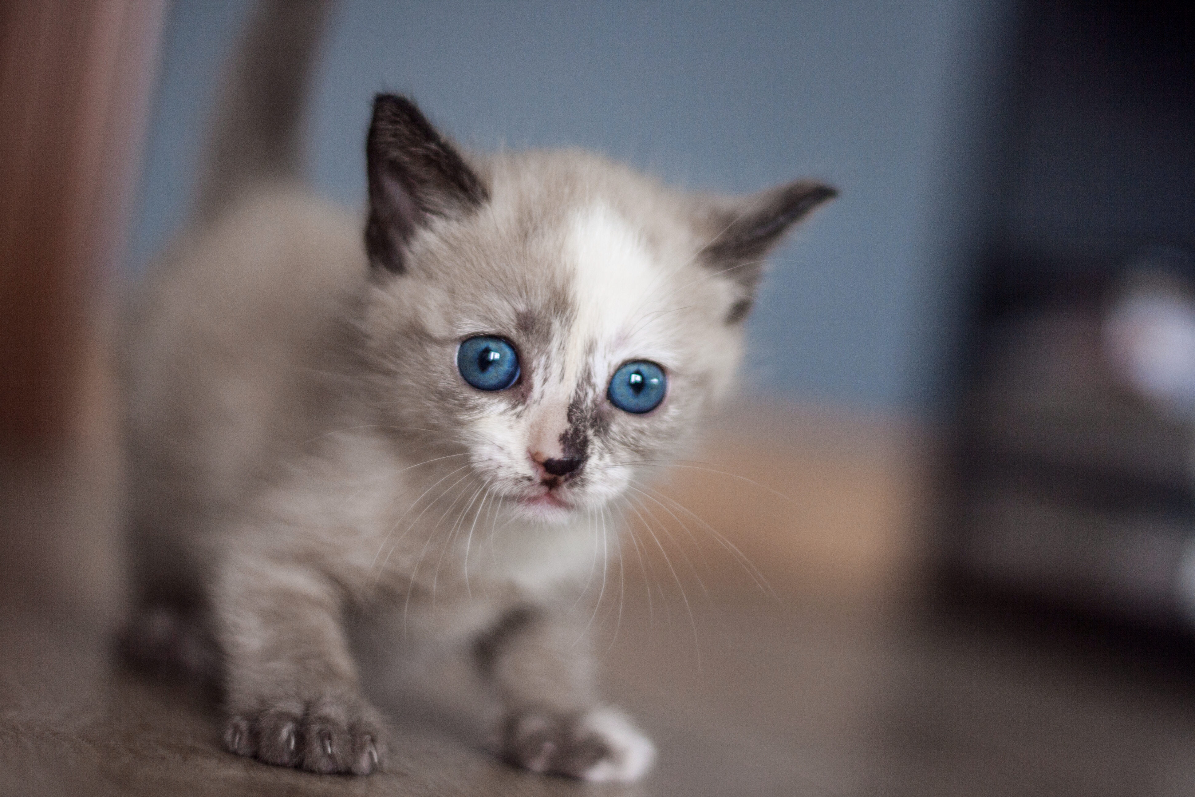 There is not description for this image